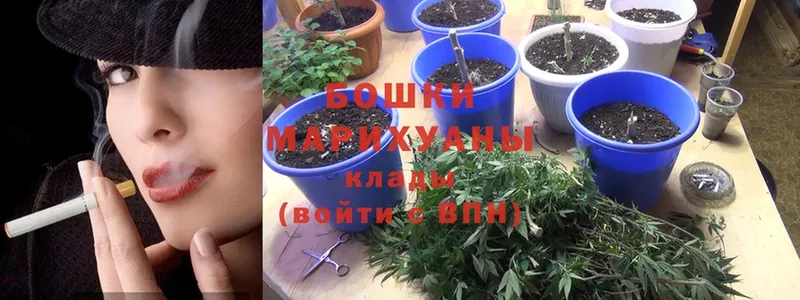 что такое наркотик  Великие Луки  Марихуана Ganja 